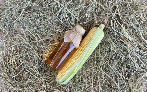 Olje, ki krepi žile in spodbuja delovanje možganov